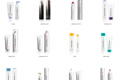 paul mitchell